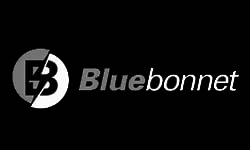 Bluebonnet